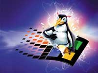 Linux & Windows